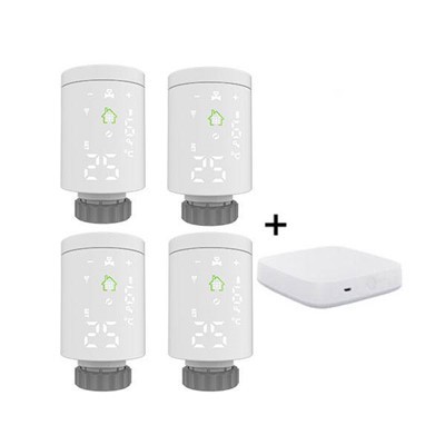 Smart Thermostat And Radiator Valves